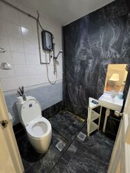 The Sunny Spring (D14), Apartment #569147561
